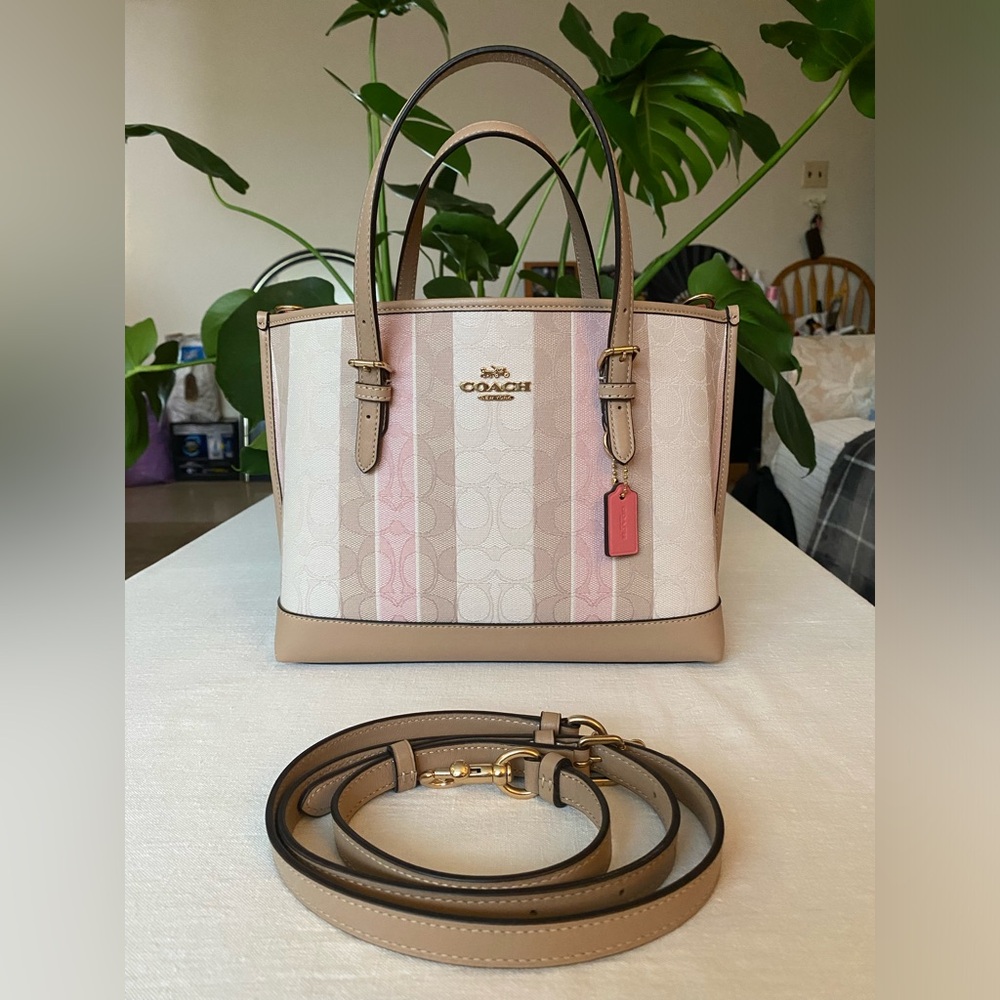 Pink and Beige Striped Coach Bag
